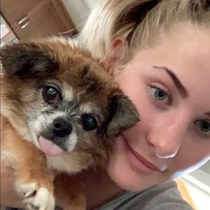 Meet your Posher, Abby